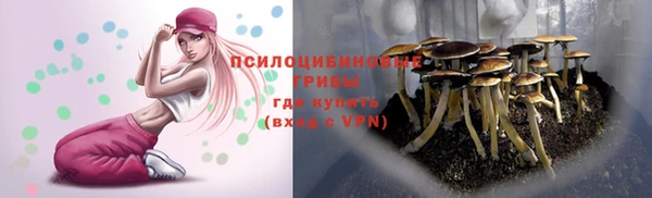 тгк Зеленокумск