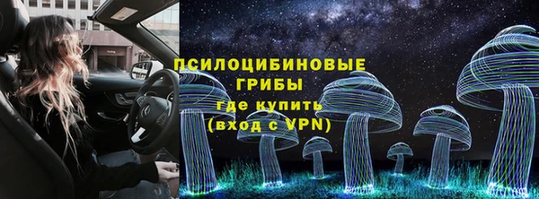 тгк Зеленокумск