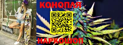 крисы Гатчина