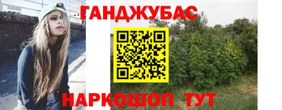 крисы Гатчина