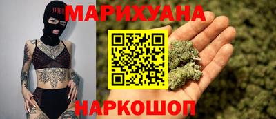 крисы Гатчина