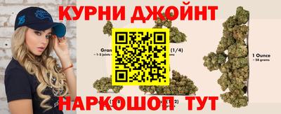 крисы Гатчина