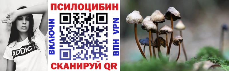 наркошоп  shop телеграм  Псилоцибиновые грибы мухоморы  Череповец 