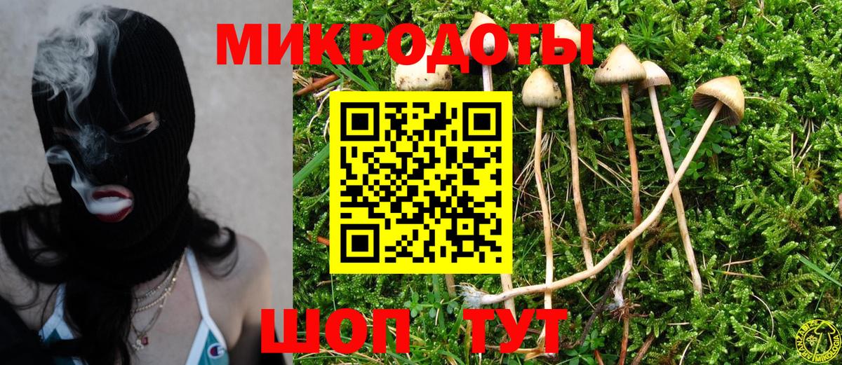 Череповец  Галлюциногенные грибы GOLDEN TEACHER  Галлюциногенные грибы Magic Shrooms  продажа наркотиков  Вход с VPN 